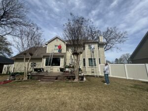 residential painting services