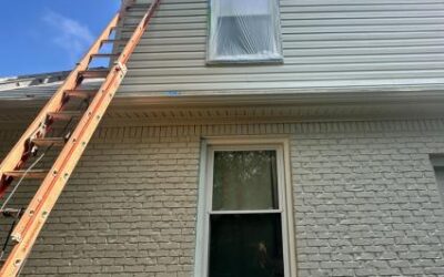 Why Hiring Highly Experienced Painters Is Essential for Interior Home Services