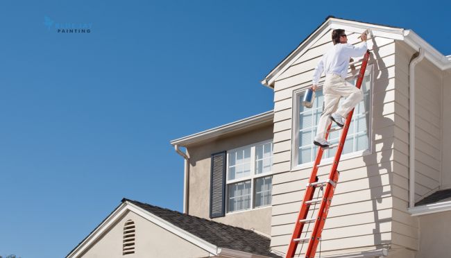 painting services