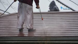 Exterior Cleaning